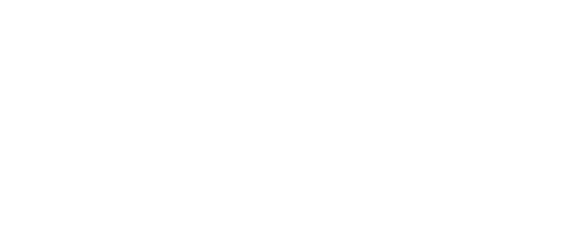 Logo_bao systems